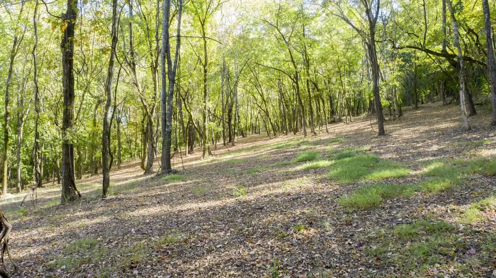 0 Steeplechase Lane Franklin TN 37069