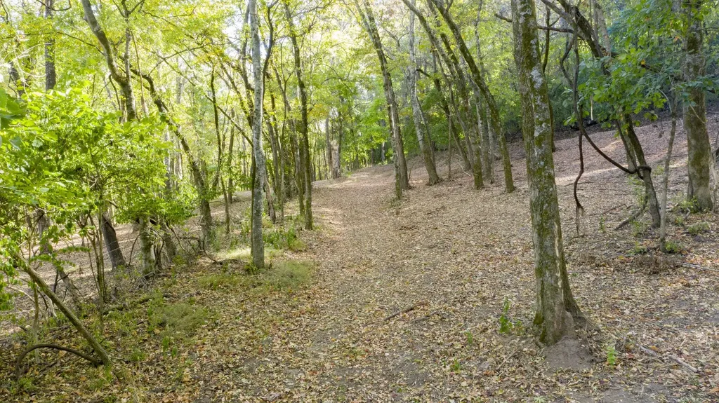 0 Steeplechase Lane Franklin TN 37069