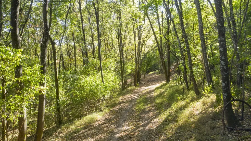 0 Steeplechase Lane Franklin TN 37069