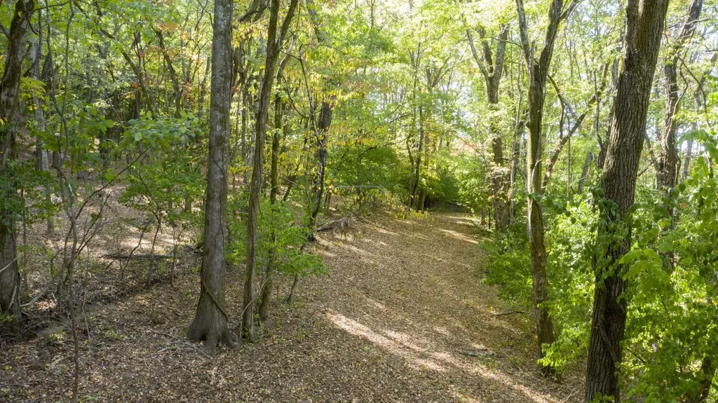 0 Steeplechase Lane Franklin TN 37069