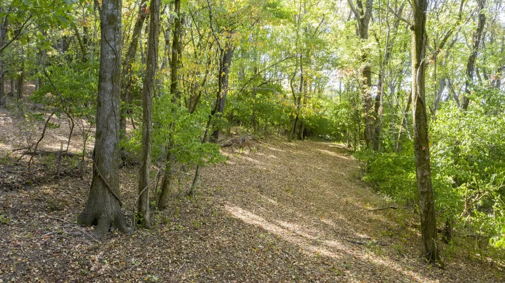 0 Steeplechase Lane Franklin TN 37069
