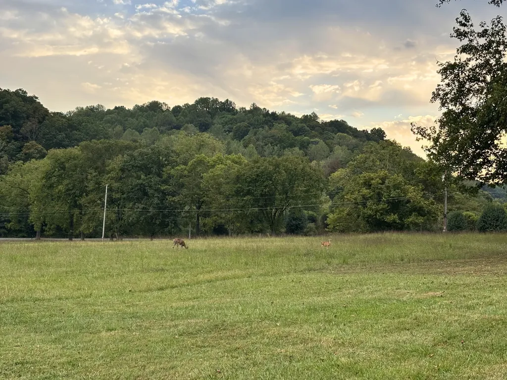 1229 Hogans Branch Road Hendersonville TN 37075