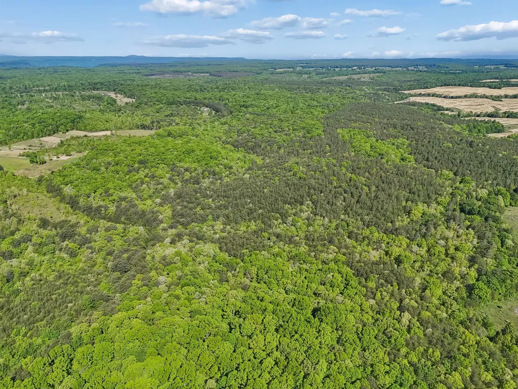 0 Whitetail Ridge Drive Spencer TN 38585