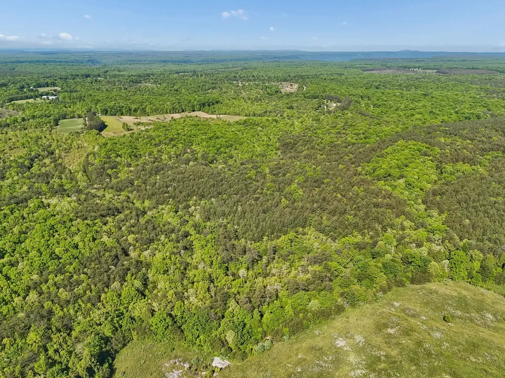 0 Whitetail Ridge Drive Spencer TN 38585