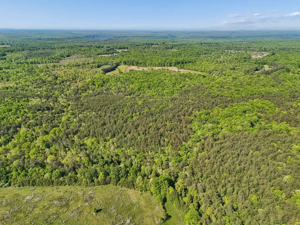 0 Whitetail Ridge Drive Spencer TN 38585