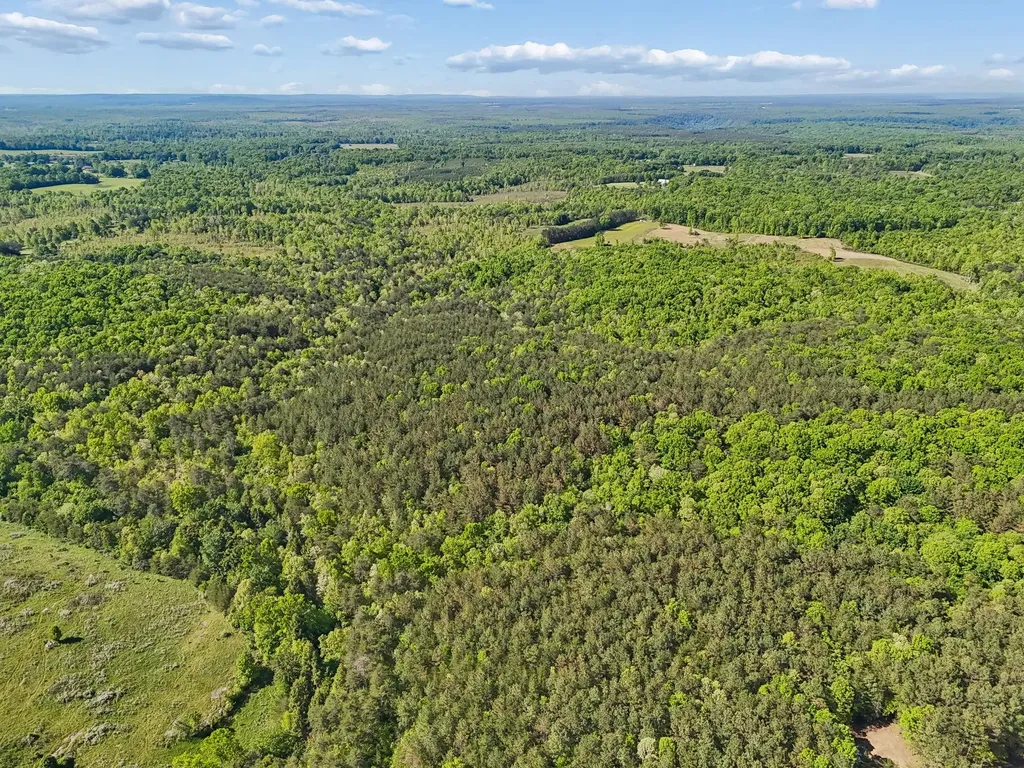 0 Whitetail Ridge Drive Spencer TN 38585