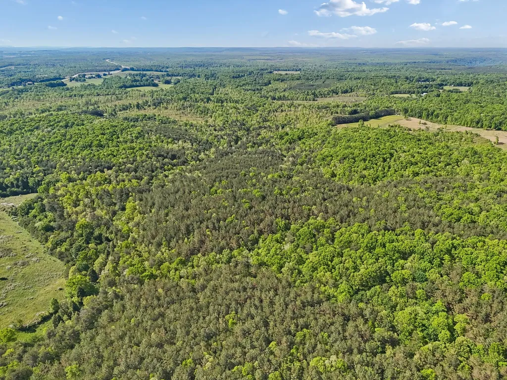 0 Whitetail Ridge Drive Spencer TN 38585