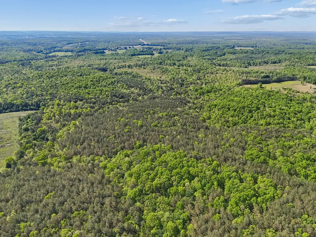 0 Whitetail Ridge Drive Spencer TN 38585