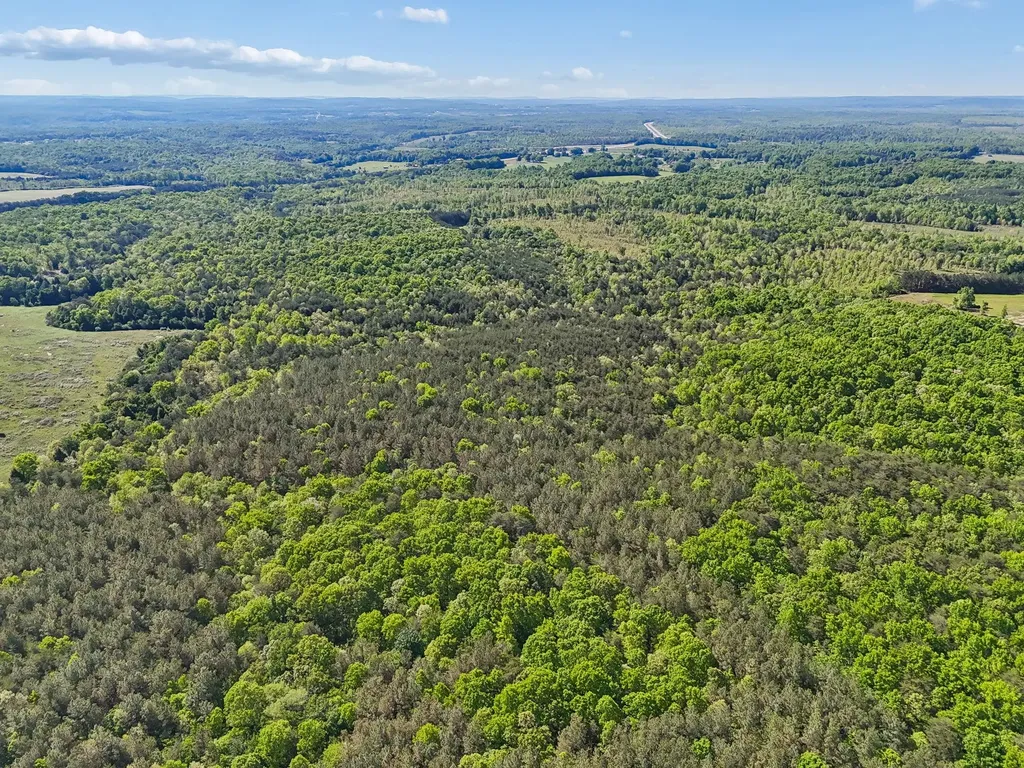 0 Whitetail Ridge Drive Spencer TN 38585