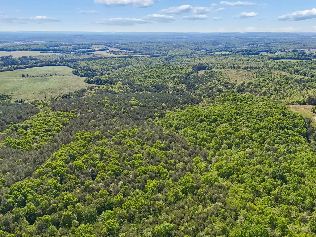 0 Whitetail Ridge Drive Spencer TN 38585