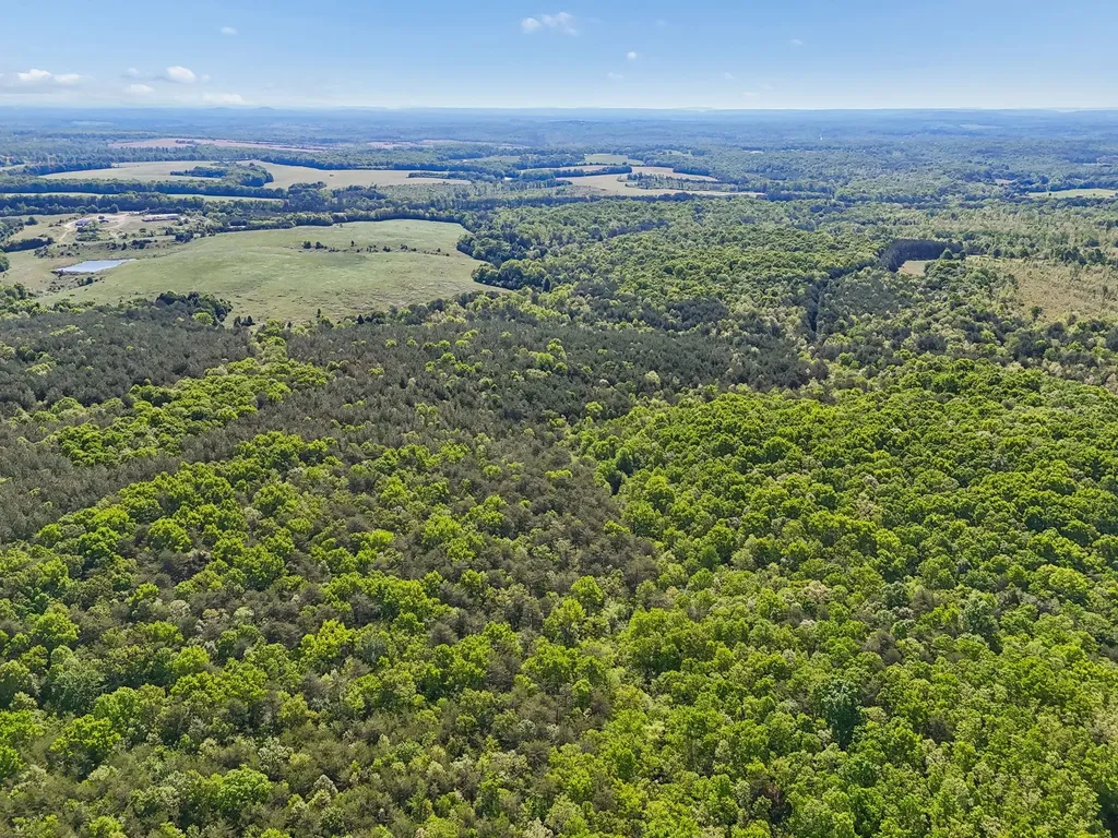0 Whitetail Ridge Drive Spencer TN 38585
