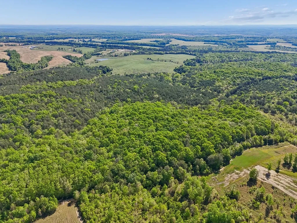 0 Whitetail Ridge Drive Spencer TN 38585