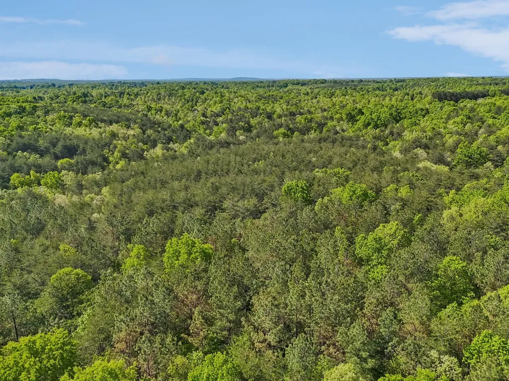 0 Whitetail Ridge Drive Spencer TN 38585