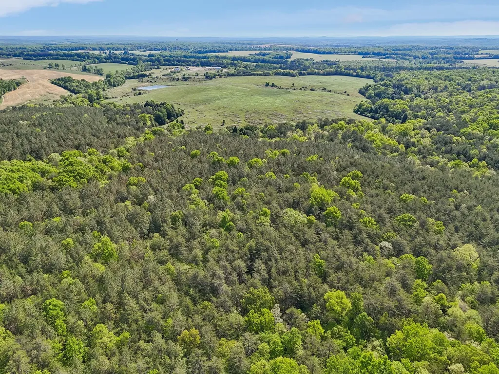 0 Whitetail Ridge Drive Spencer TN 38585