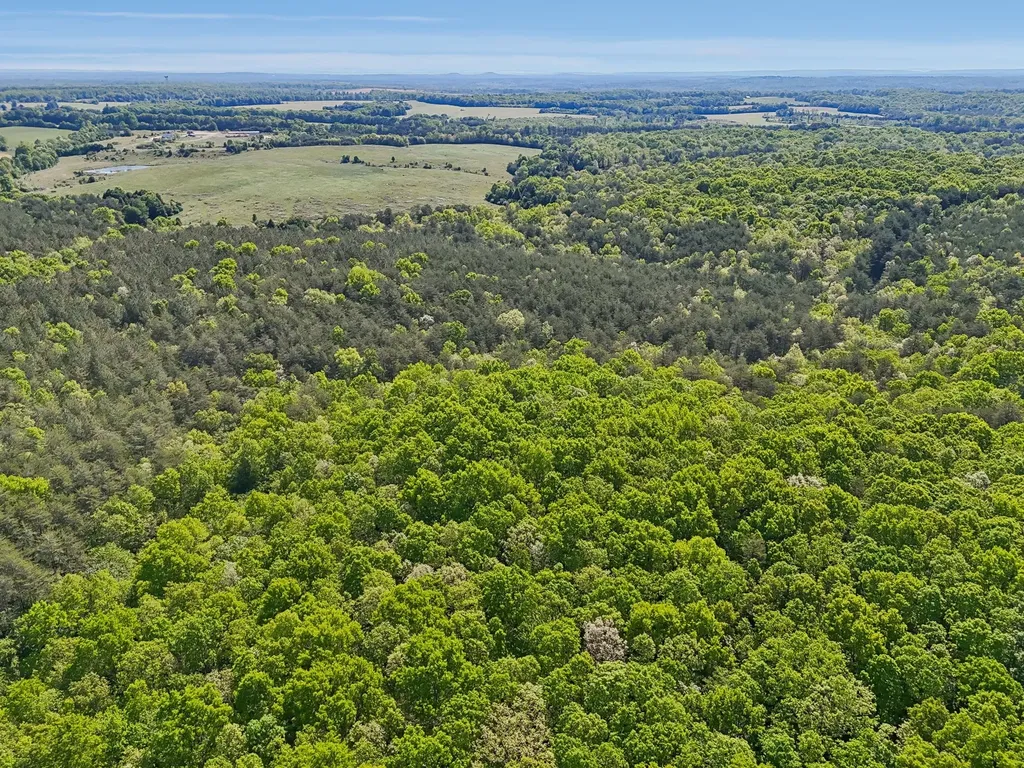 0 Whitetail Ridge Drive Spencer TN 38585