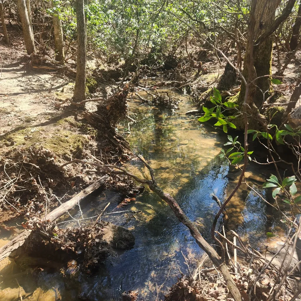 0 Whitetail Ridge Drive Spencer TN 38585