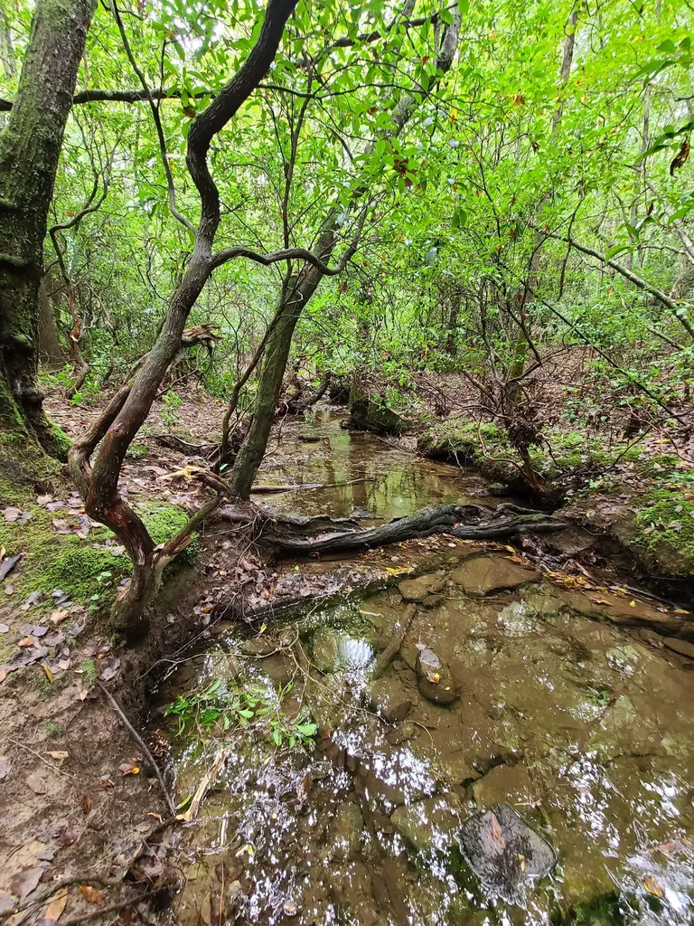 0 Whitetail Ridge Drive Spencer TN 38585