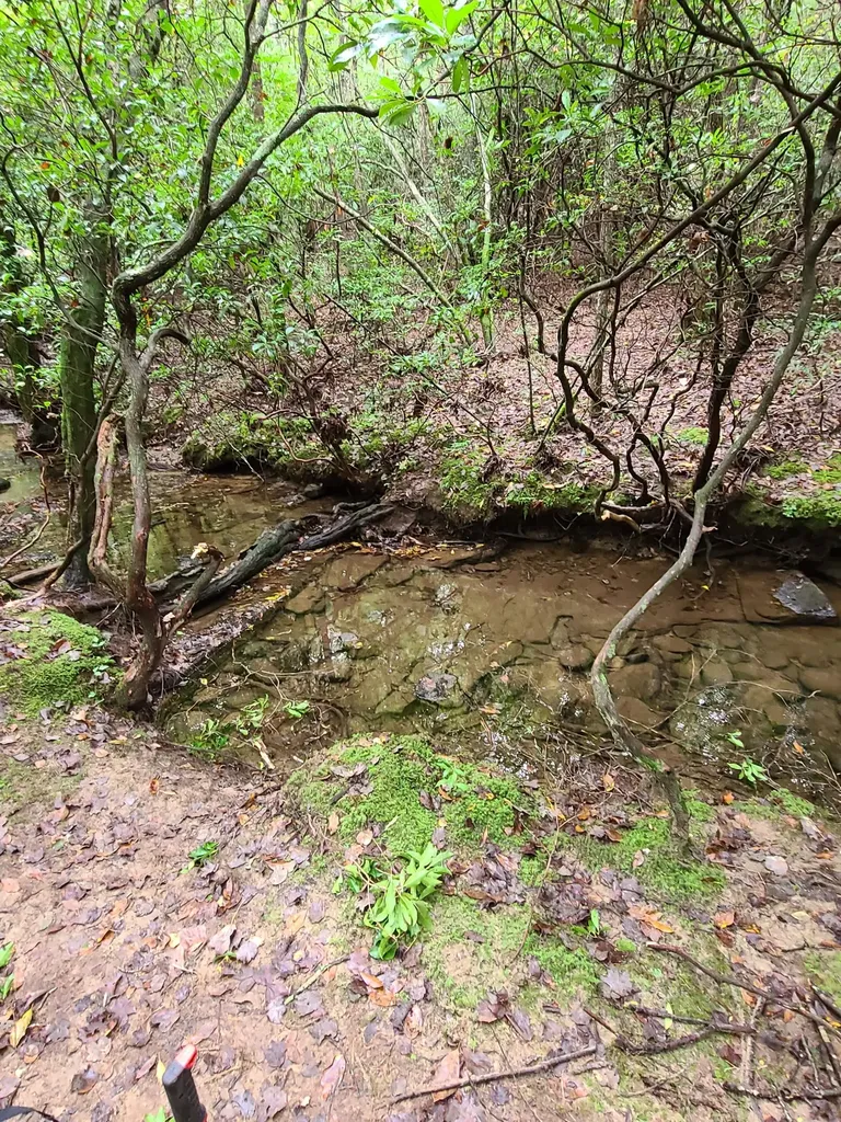 0 Whitetail Ridge Drive Spencer TN 38585
