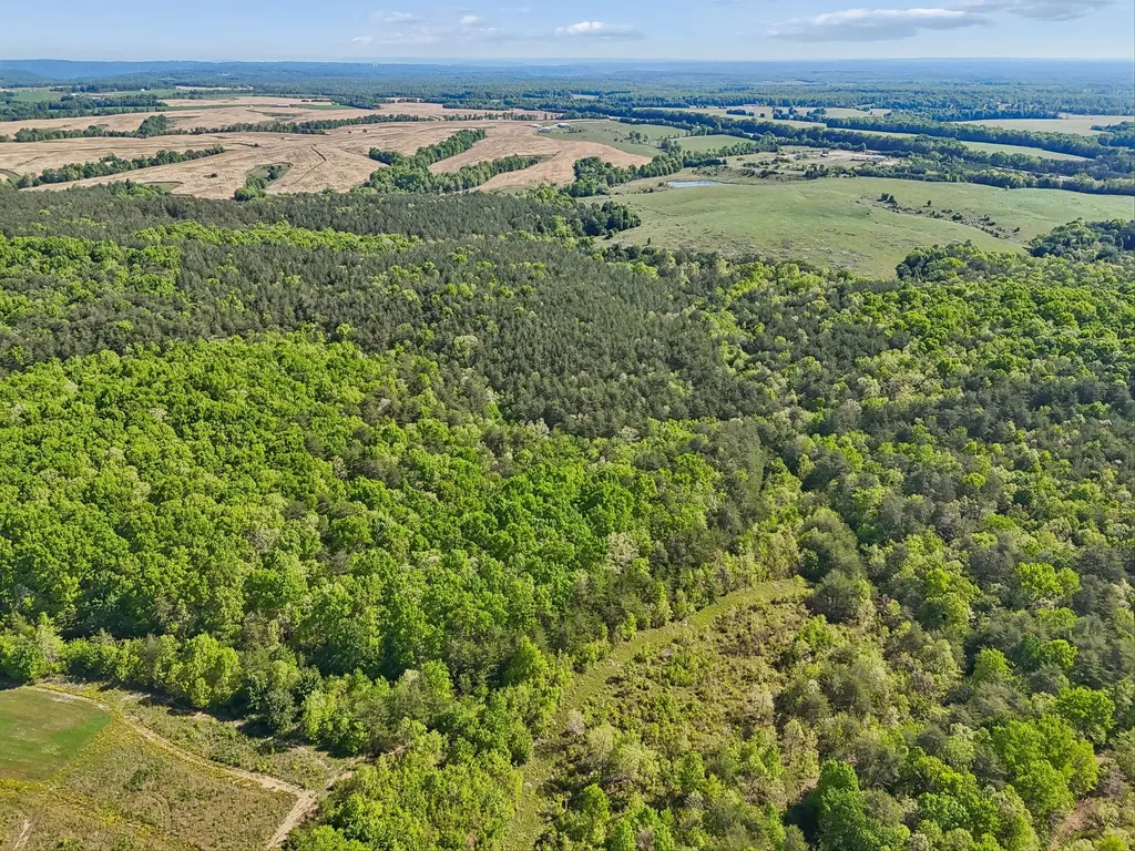 0 Whitetail Ridge Drive Spencer TN 38585
