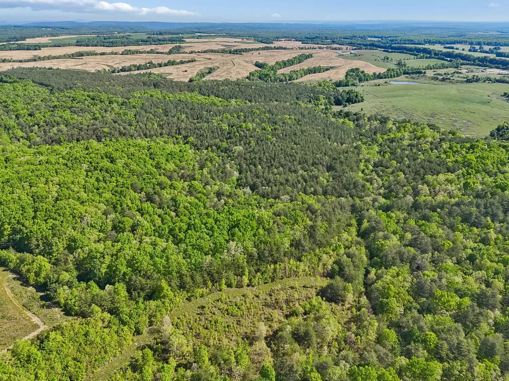 0 Whitetail Ridge Drive Spencer TN 38585