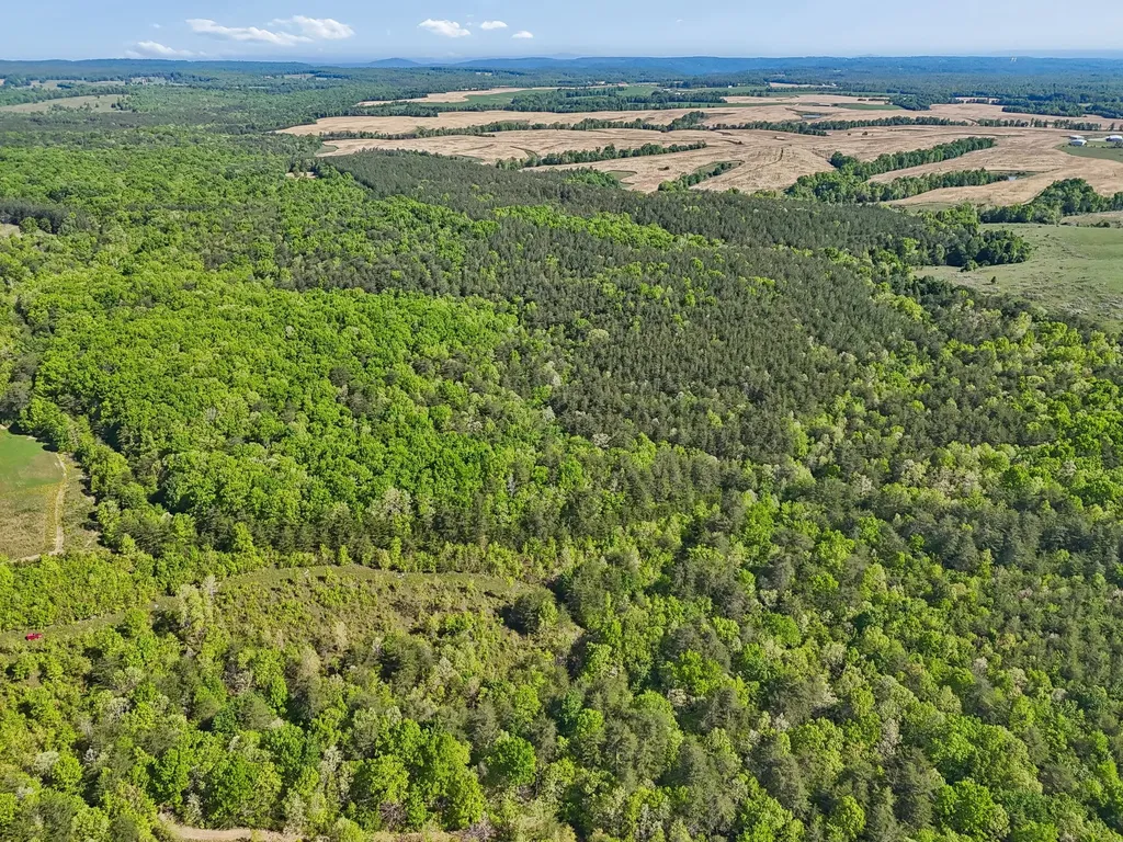 0 Whitetail Ridge Drive Spencer TN 38585