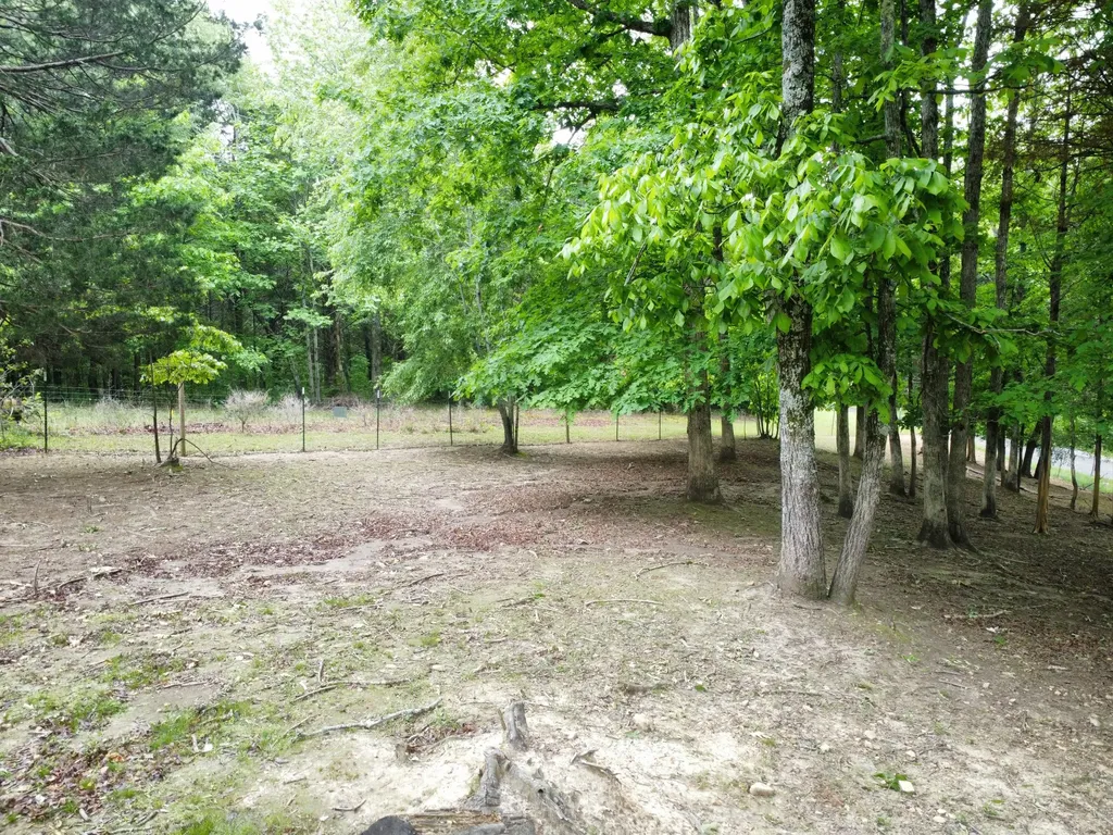 1200 Dawson Road White Bluff TN 37187