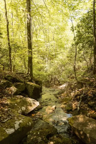0 Browns Trace Road South Pittsburg TN 37380