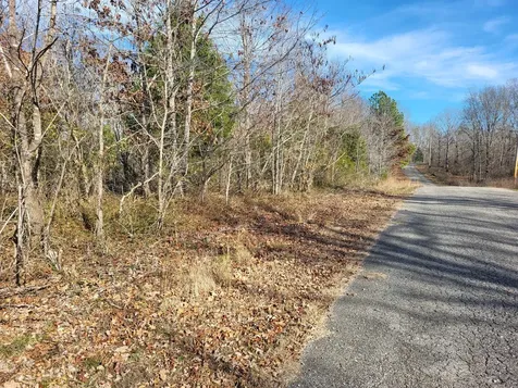 1 Moles Lane Byrdstown TN 38549
