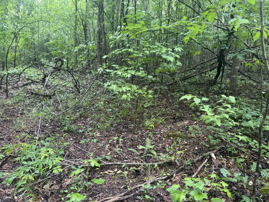 0 Highway 283 Whitwell TN 37397