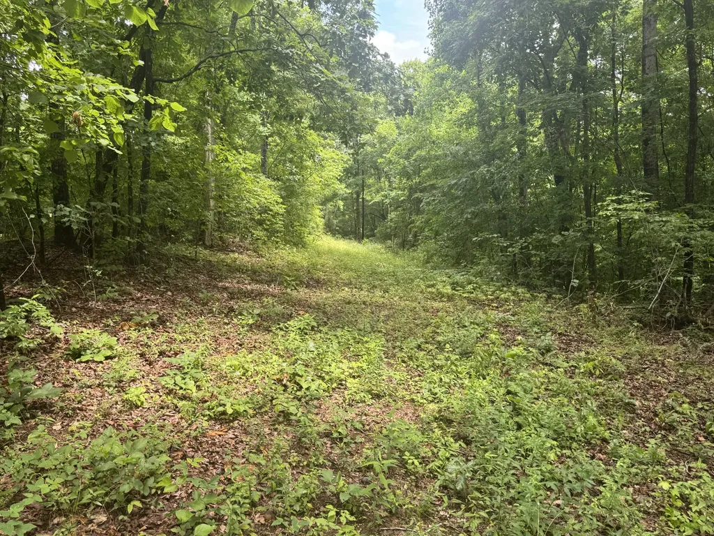0 Highway 283 Whitwell TN 37397
