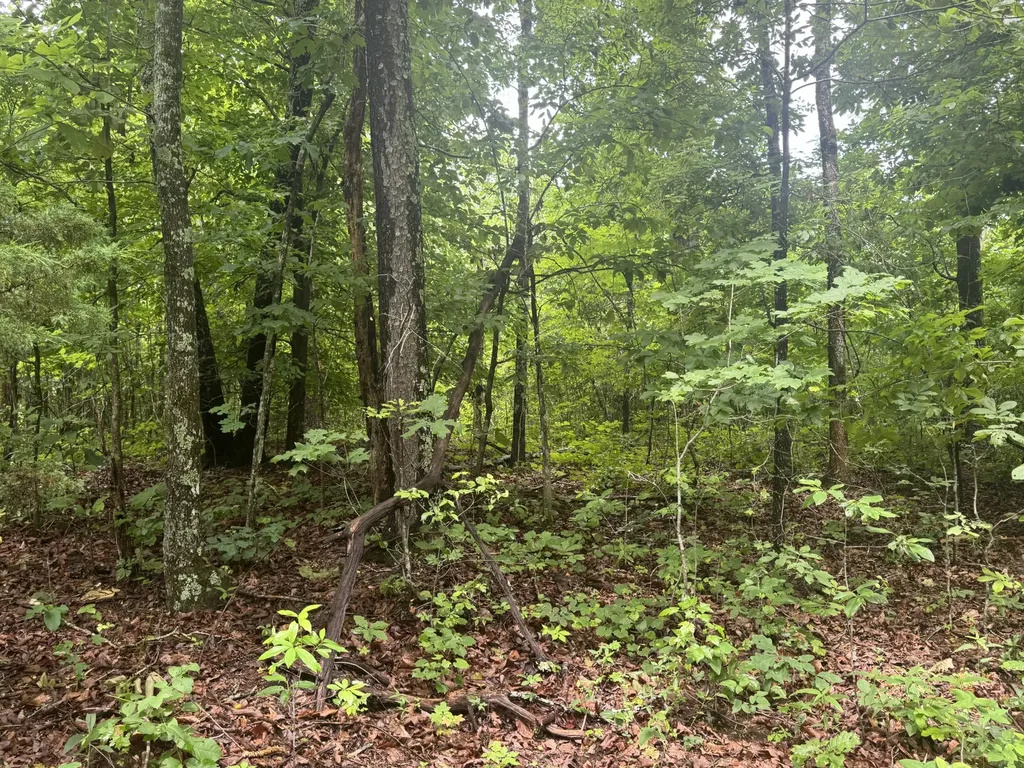 0 Highway 283 Whitwell TN 37397