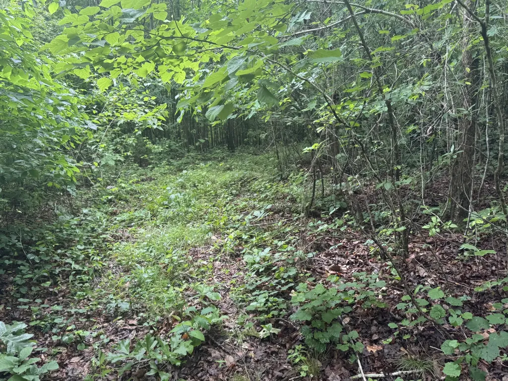 0 Highway 283 Whitwell TN 37397