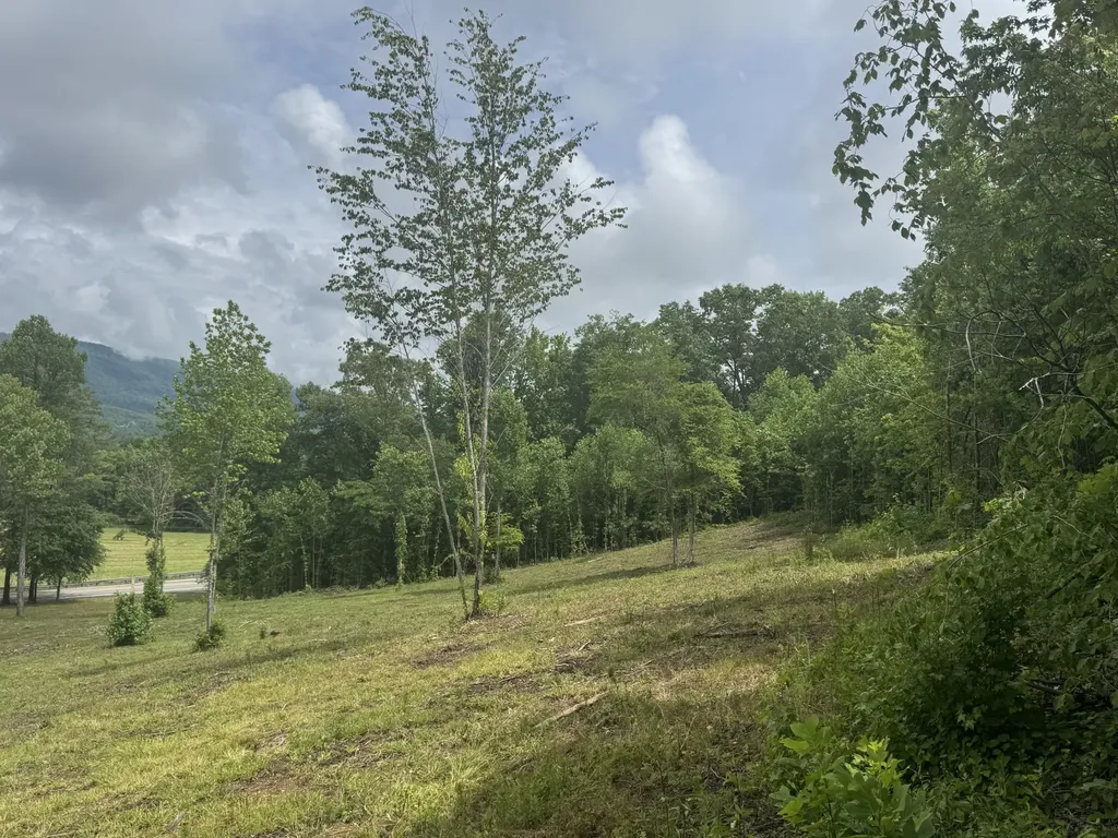 0 Highway 283 Whitwell TN 37397
