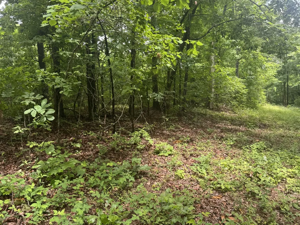 0 Highway 283 Whitwell TN 37397