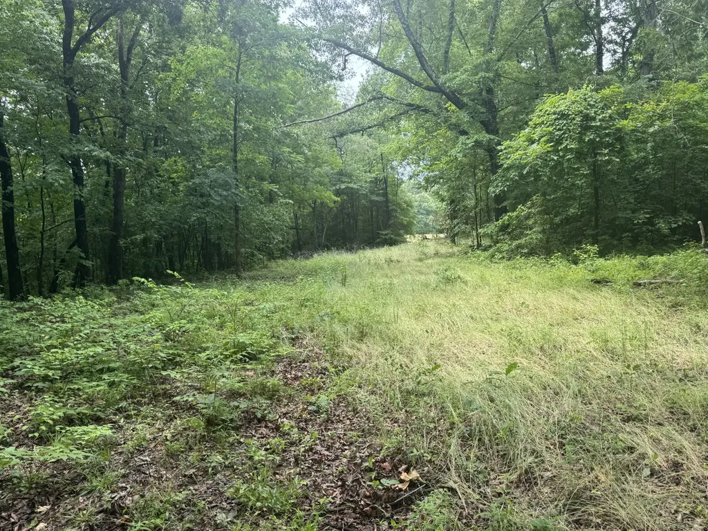 0 Highway 283 Whitwell TN 37397