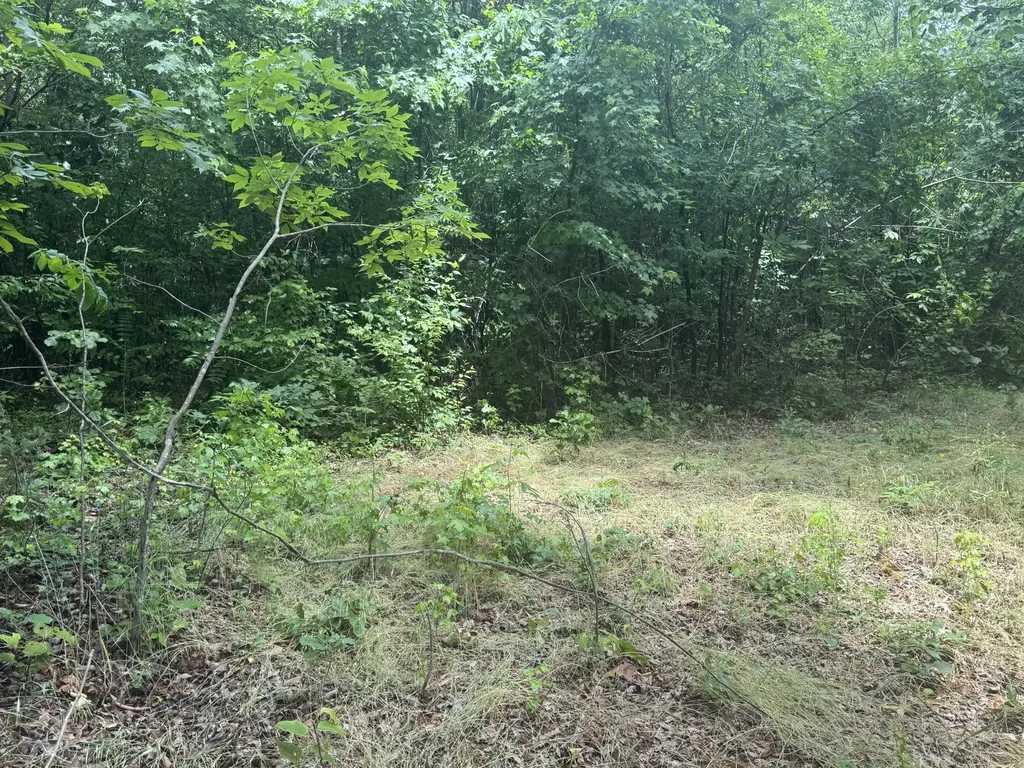 0 Highway 283 Whitwell TN 37397