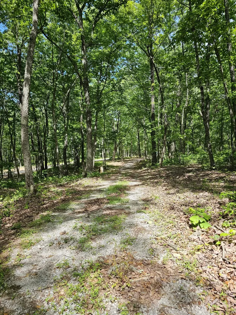 15 Valley View Drive Altamont TN 37301