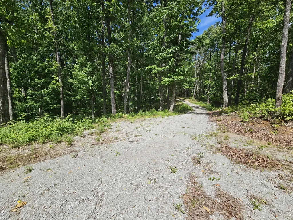 15 Valley View Drive Altamont TN 37301