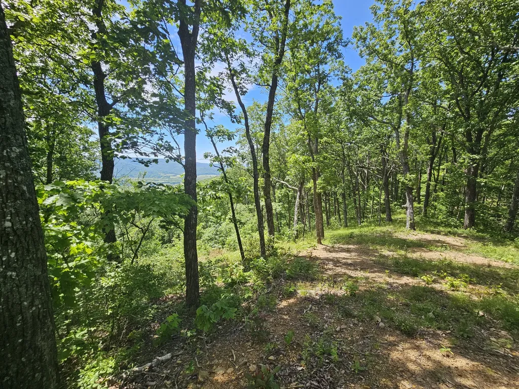 15 Valley View Drive Altamont TN 37301