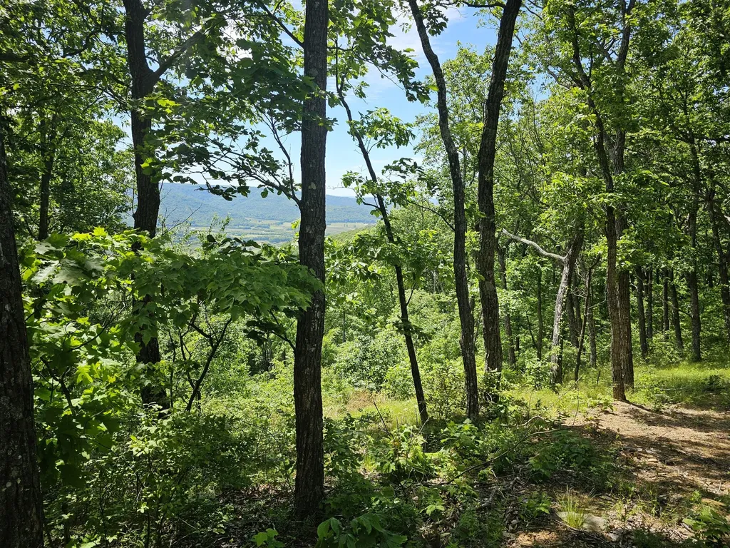 15 Valley View Drive Altamont TN 37301
