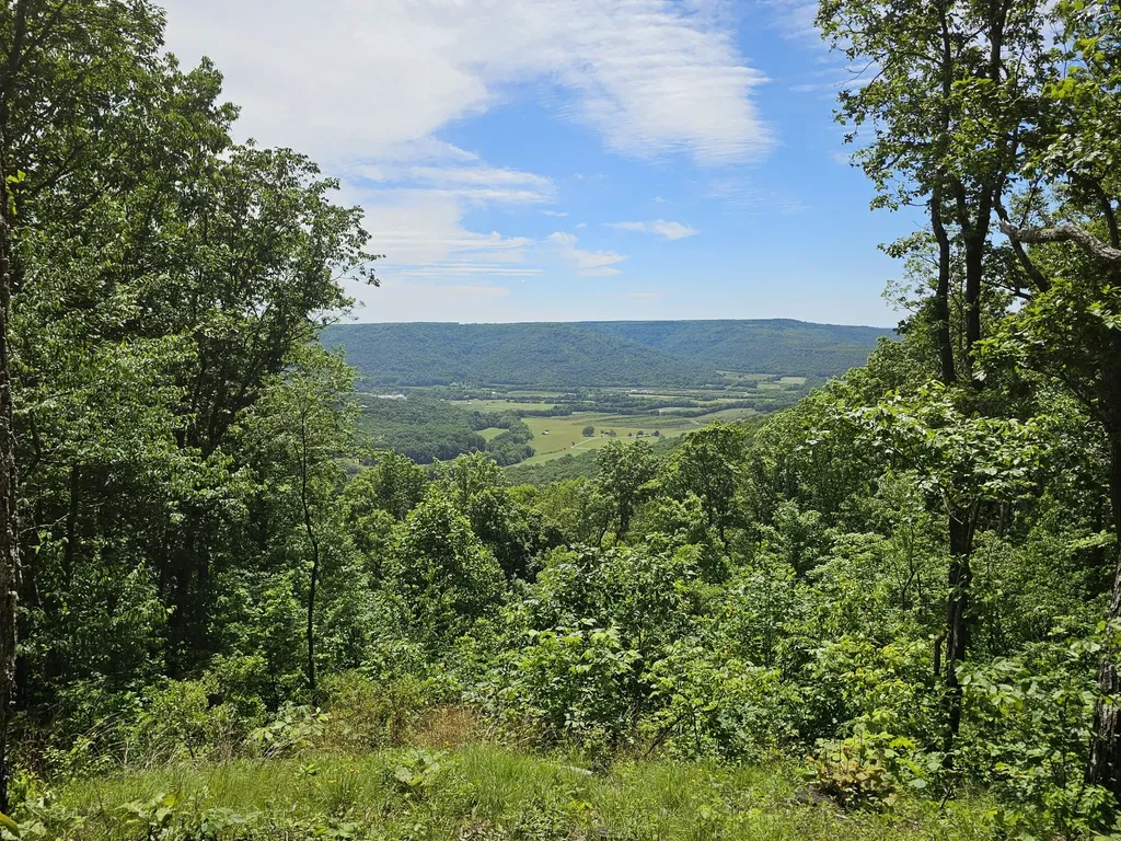 15 Valley View Drive Altamont TN 37301