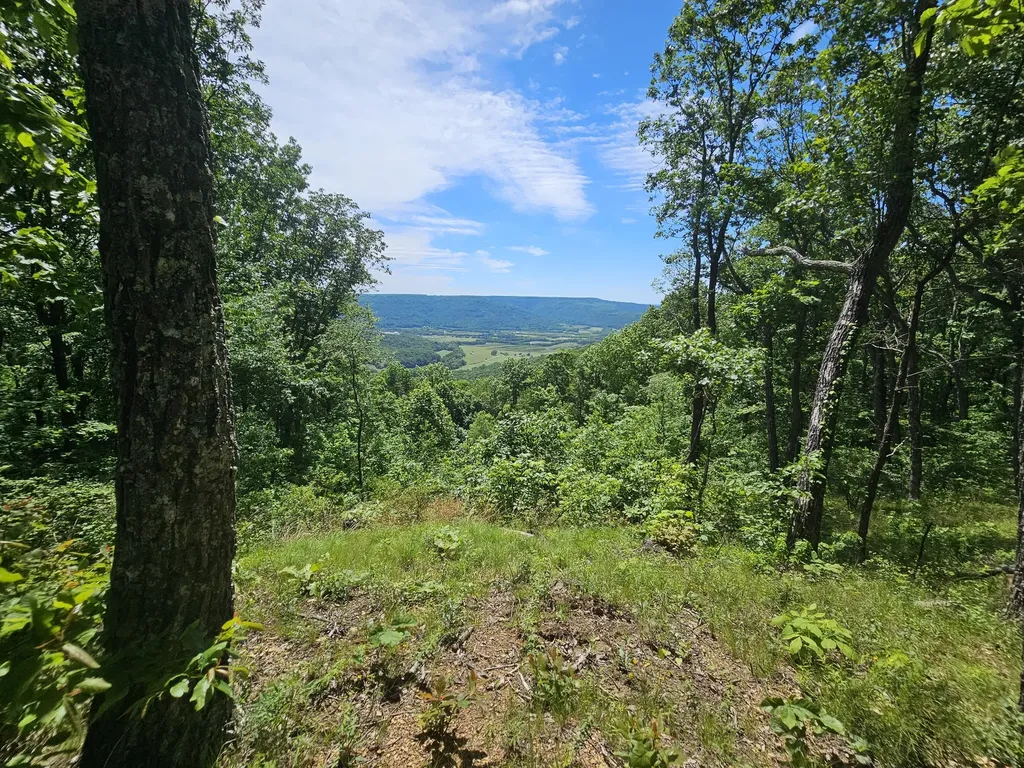 15 Valley View Drive Altamont TN 37301