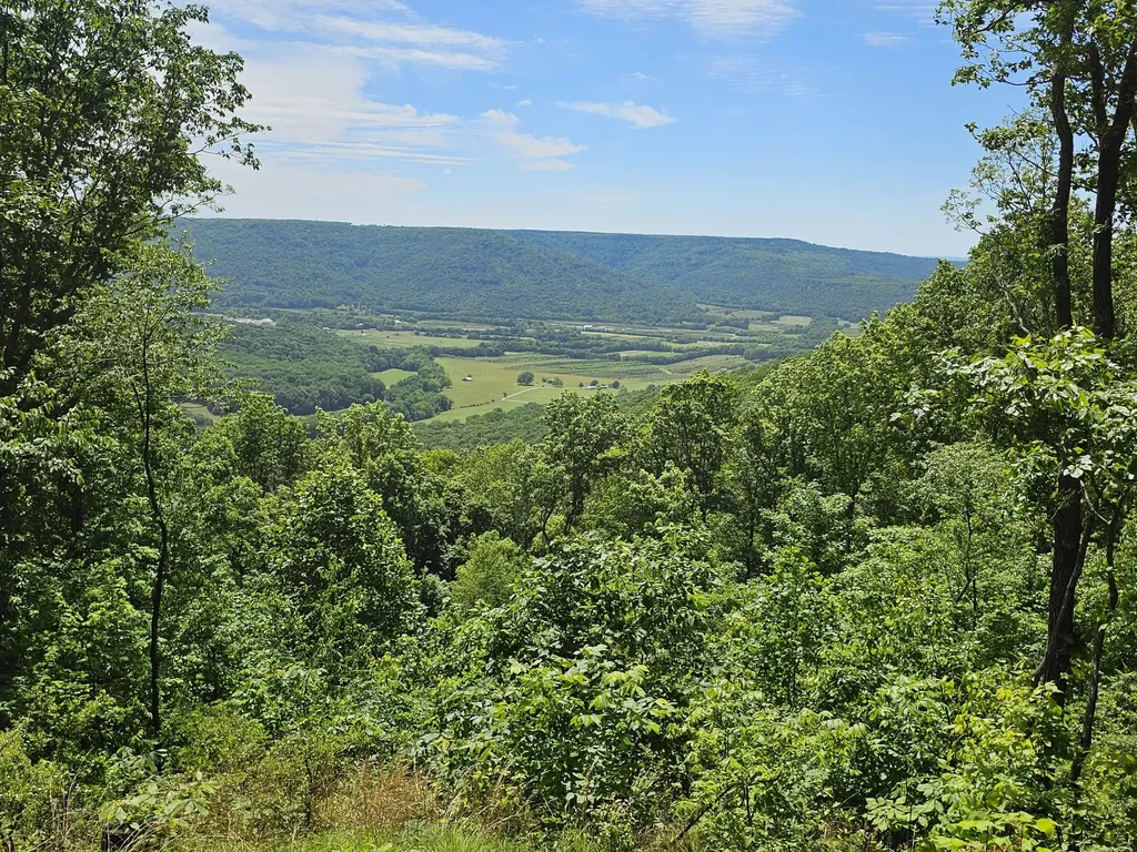 15 Valley View Drive Altamont TN 37301