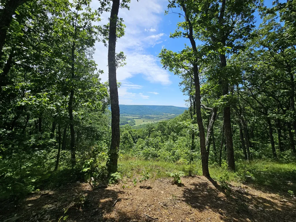 15 Valley View Drive Altamont TN 37301