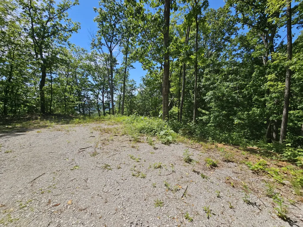 15 Valley View Drive Altamont TN 37301