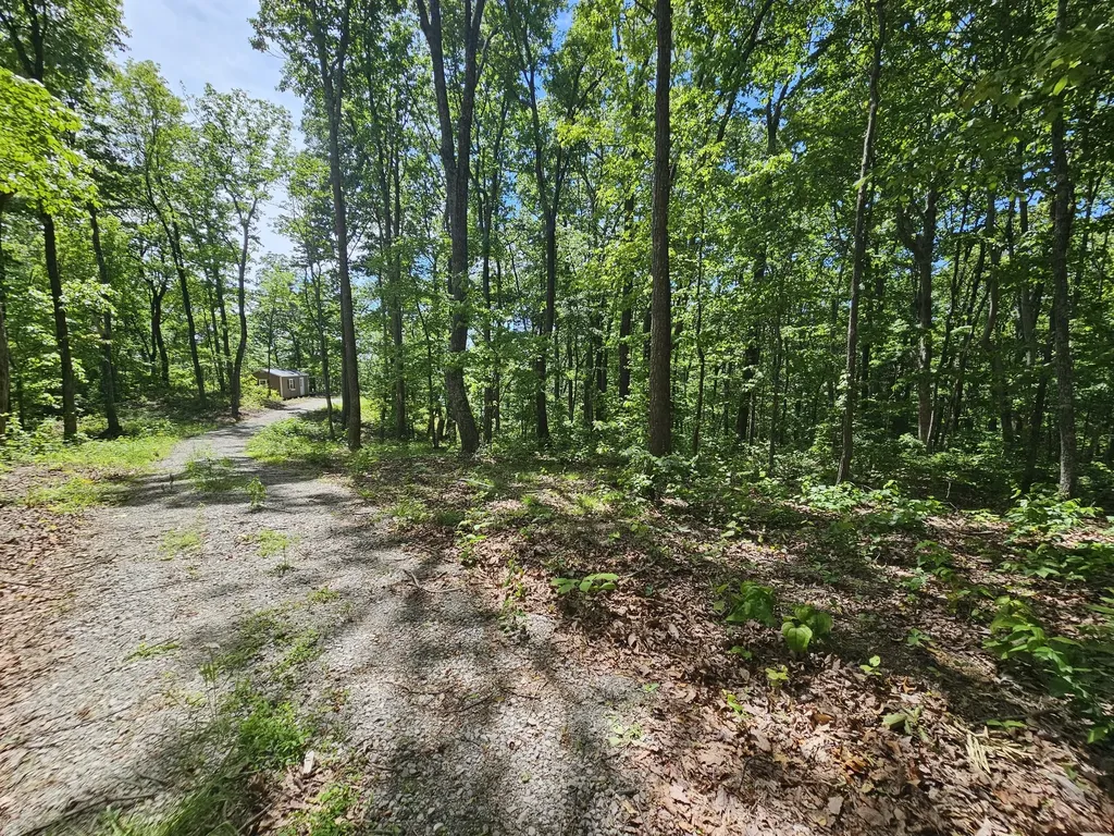15 Valley View Drive Altamont TN 37301