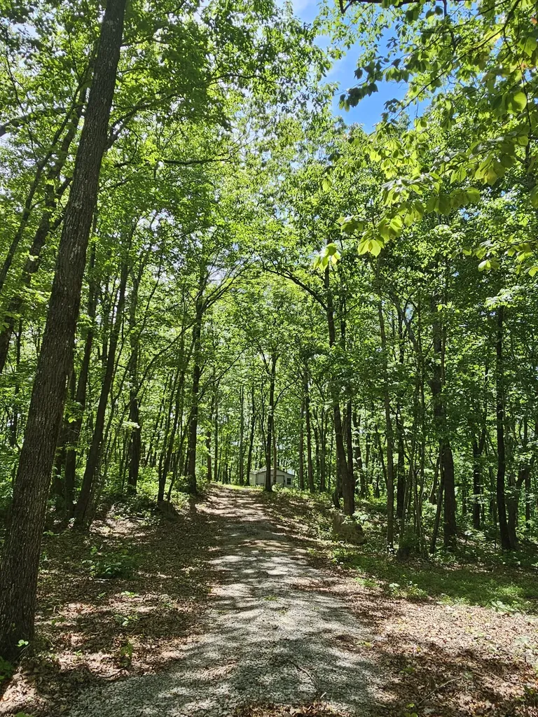 15 Valley View Drive Altamont TN 37301