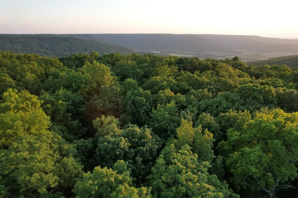 15 Valley View Drive Altamont TN 37301