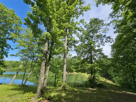 15 Valley View Drive Altamont TN 37301