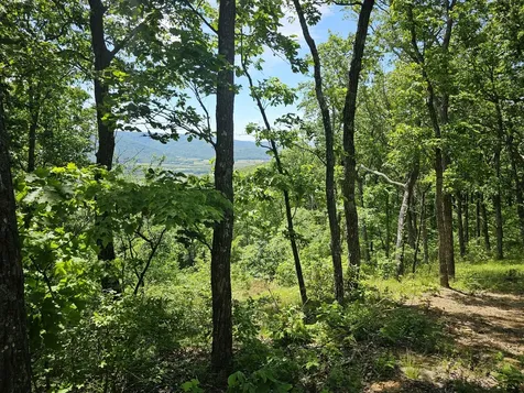 15 Valley View Drive Altamont TN 37301